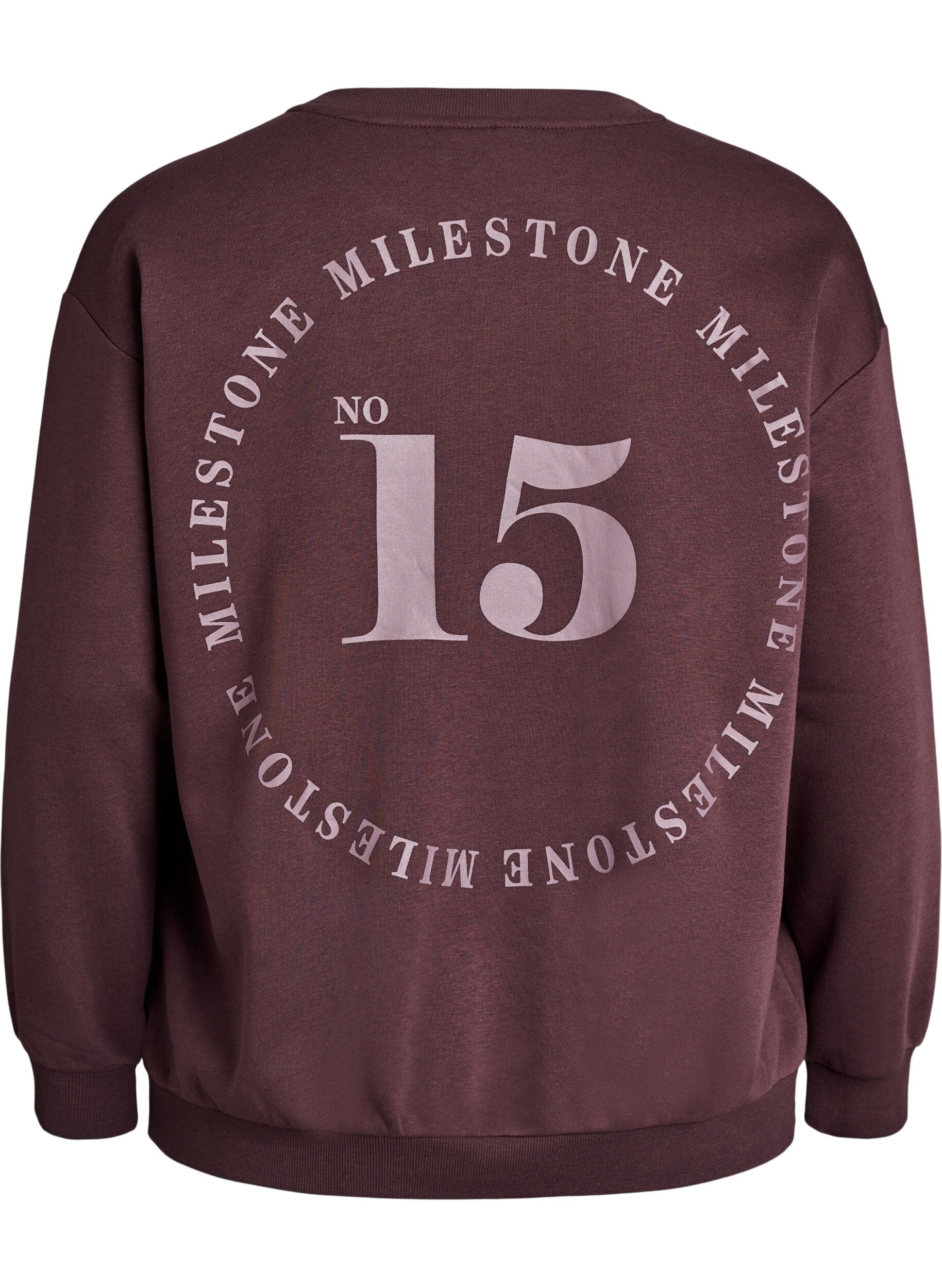 Zizzi Sweatshirt med statement-detalje, Brun, Packshot image number 1