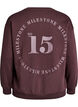 Sweatshirt med statement-detalje, Brun, Packshot image number 1