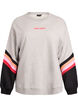 L&oslash;s sweatshirt med kontrastdetaljer p&aring; &aelig;rmerne, Gr&aring;, Packshot image number 0
