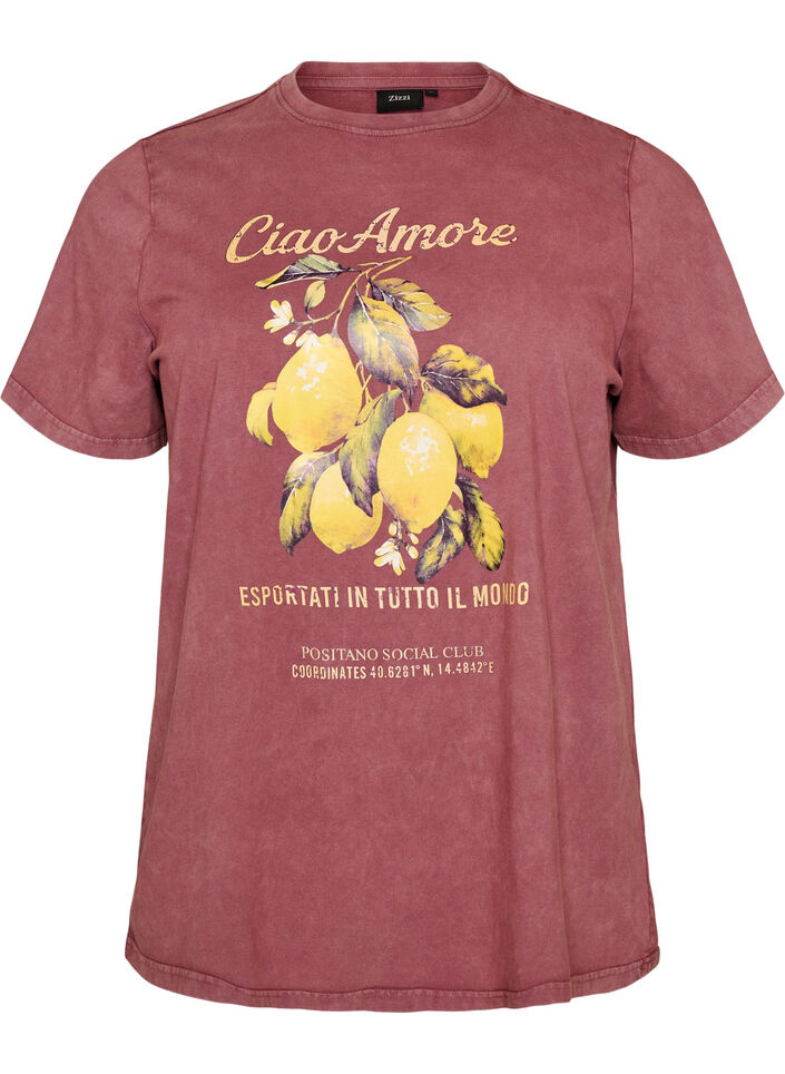 T-shirt i bomuld med frontprint og vasket look, R&oslash;d, Packshot image number 0