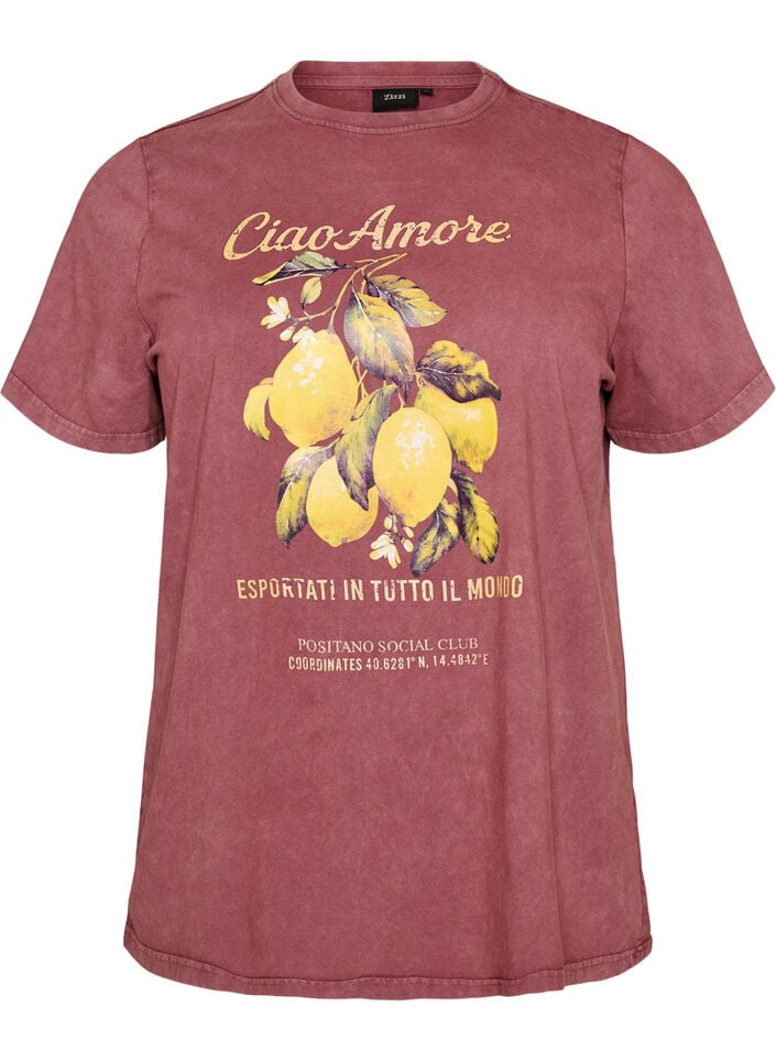 T-shirt i bomuld med frontprint og vasket look, R&oslash;d, Packshot image number 0