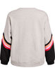 L&oslash;s sweatshirt med kontrastdetaljer p&aring; &aelig;rmerne, Gr&aring;, Packshot image number 1