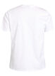 T-shirt i &oslash;kologisk bomuld med citrusmotiv, Hvid, Packshot image number 1
