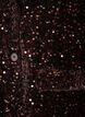 Blazer med pailletter, Brun, Packshot image number 2