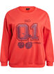 Sweatshirt med frontmotiv, R&oslash;d, Packshot image number 0