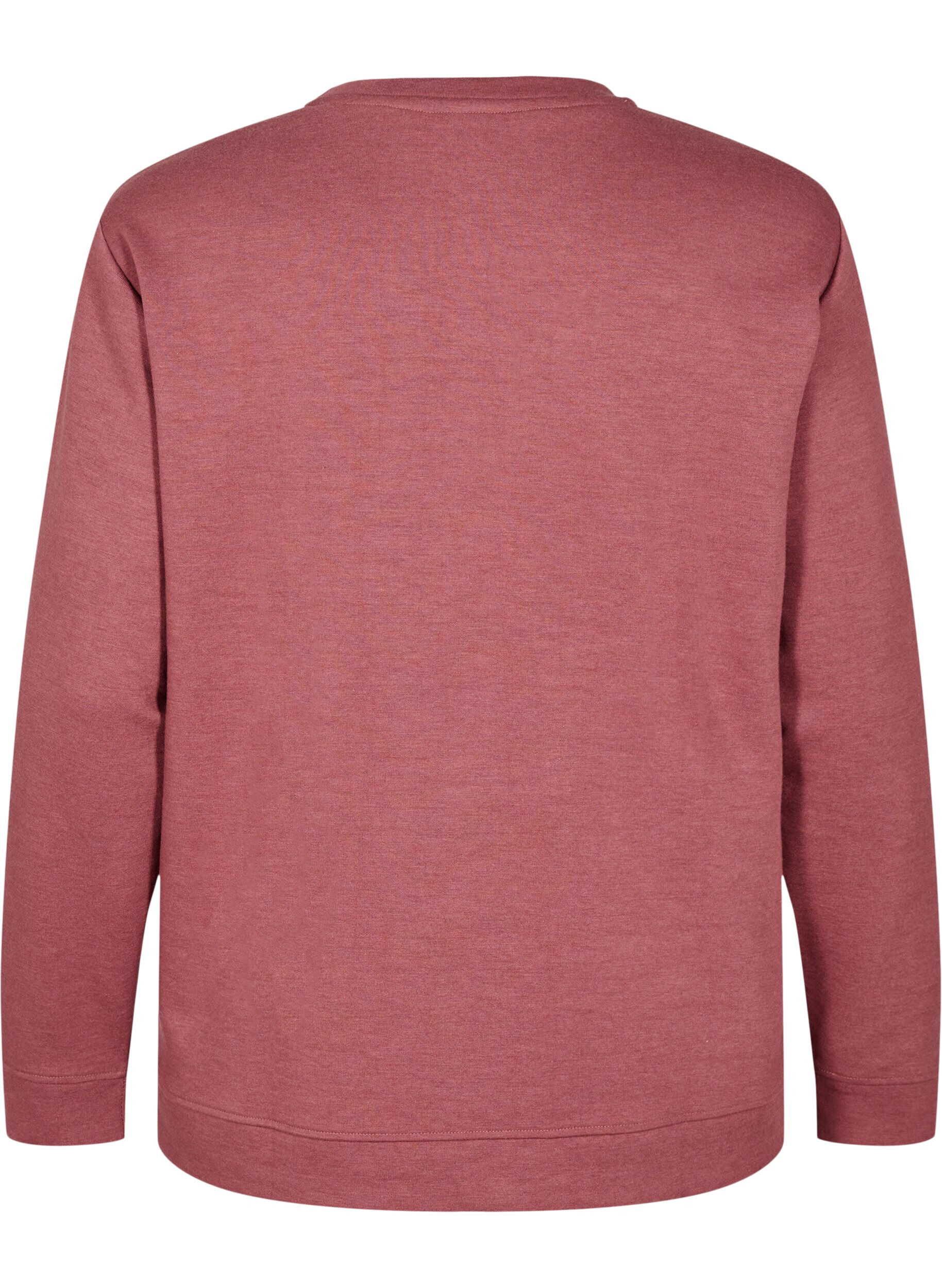 Zizzi FLASH - Sweatshirt med rund hals , Brun, Packshot image number 1