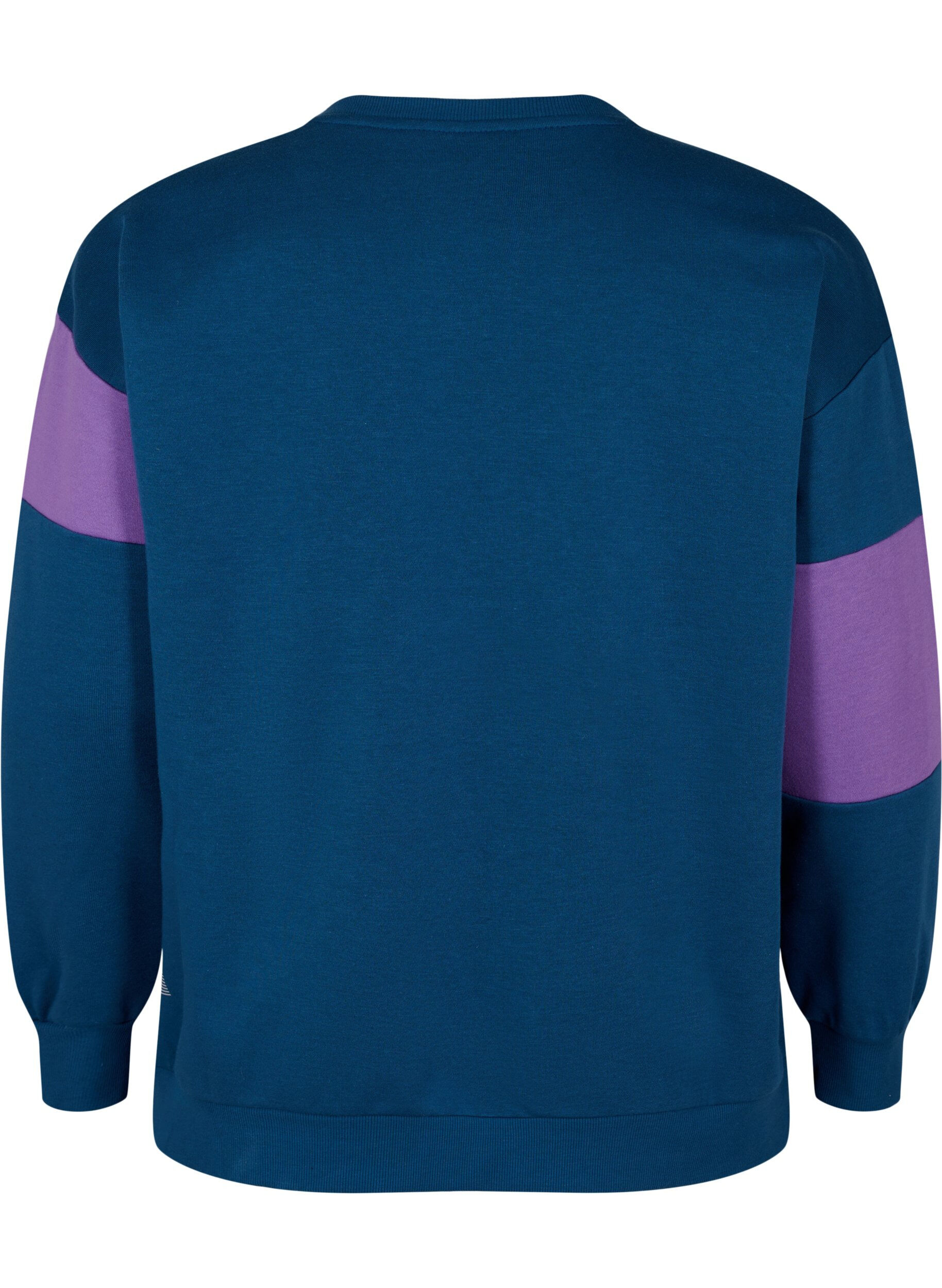 Zizzi Sweatshirt med sporty print, Blue Wing Teal Comb, Packshot image number 1