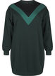 Lang sweatshirt med colorblock, Scarab Color Block, Packshot image number 0