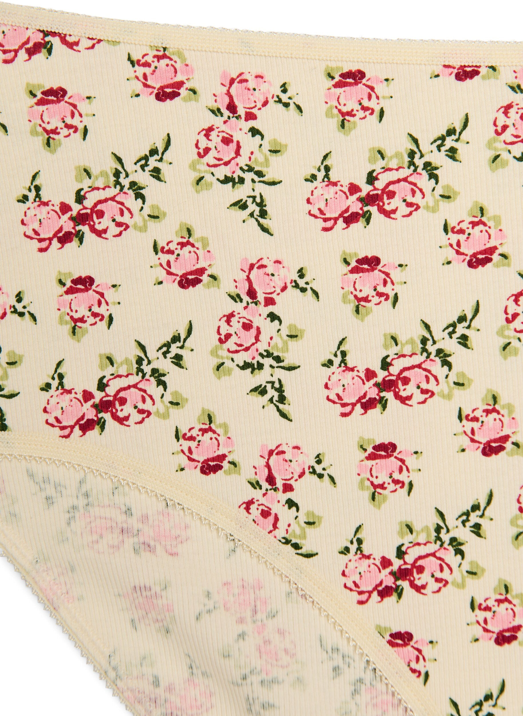 Zizzi 5-pak brief-trusser i ribbet bomuld, Vanilla, Packshot image number 3