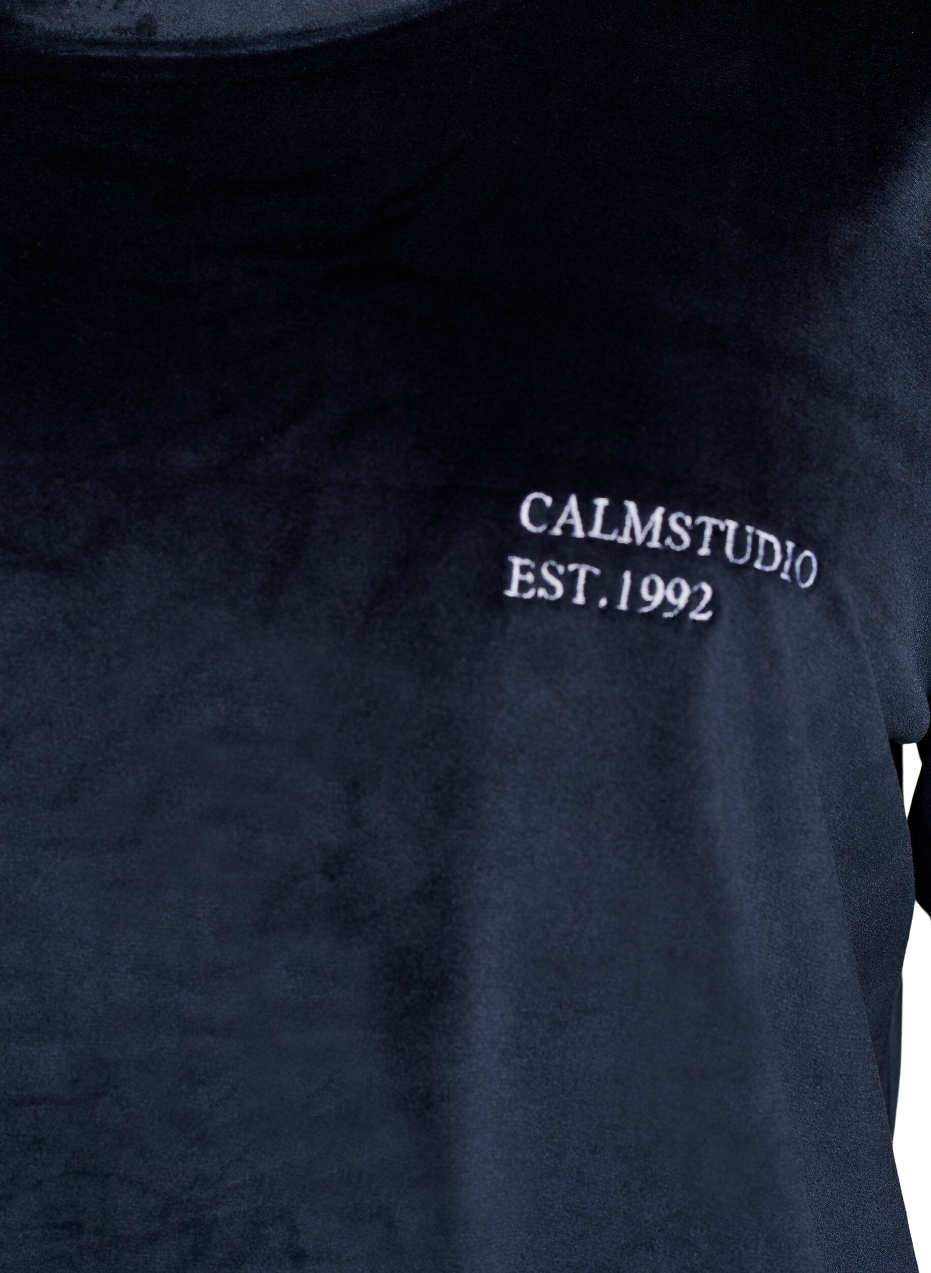 ZizziVelourbluse med broderet tekstmotiv, Bl&aring;, Packshot image number 2
