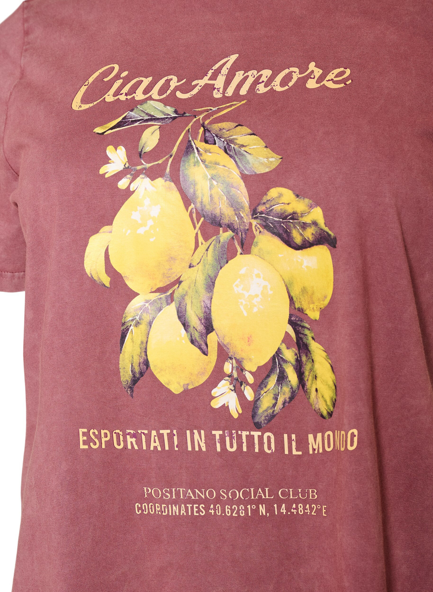 ZizziT-shirt i bomuld med frontprint og vasket look, R&oslash;d, Packshot image number 2