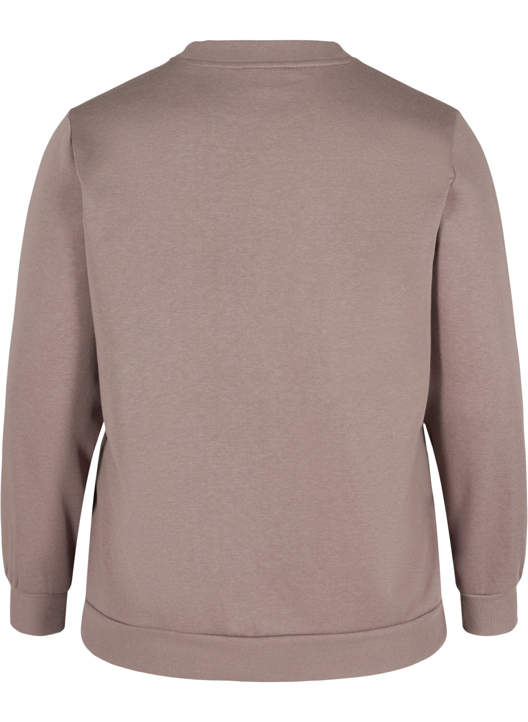 Langærmet sweatshirt med tryk, Iron, Packshot image number 1